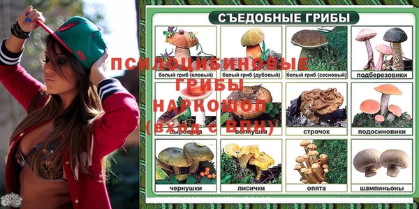 spice Бронницы
