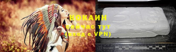 apvp Бородино