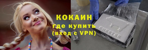 apvp Бородино