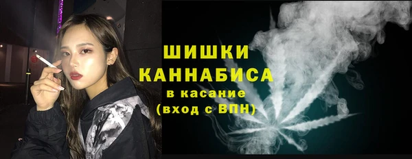 apvp Бородино
