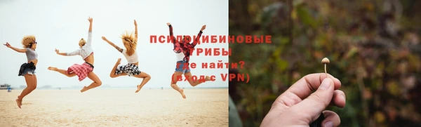 spice Бронницы