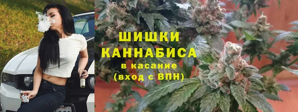 apvp Бородино